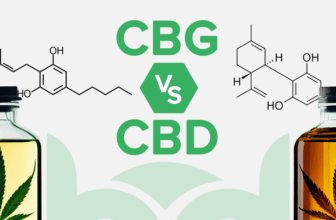CBG vs CBD: What’s the Difference?