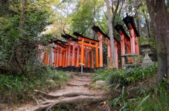 How to Do the Fushimi Inari Back Way Hike in Kyoto