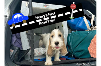 Henry’s First Road Trip – My GBGV Life