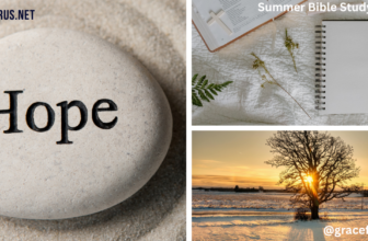 Summer Bible Study Series Week 4
