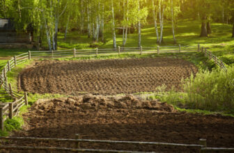 Plant 2026 Gallery: Celebrating the People Behind Planting Season