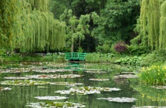 Monet’s gardens in Giverny suffer damage from record heatwaves