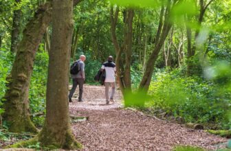 From nature walks to neural networks: My journey in Applied AI at Cranfield