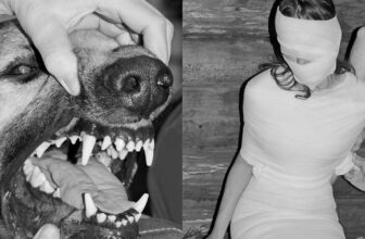 Kristina Rozhkova’s scatty, confronting portrait of captivity