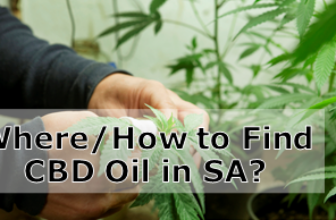 Cannabis Oil in South Africa – Where and How? – Cannabis Oil Durban
