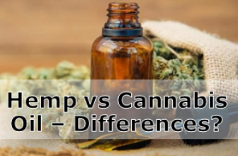 Hemp vs Cannabis Oil – Any Differences? – Cannabis Oil Durban