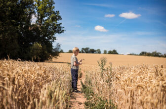 Family Friendly Hanbury Circular Walk