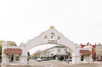 Lodi Winegrape Commission – Blog