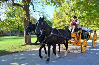 10+ Cool Things to Do in Williamsburg VA • Traveling with Purpose