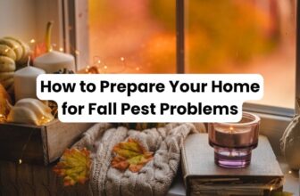 How to Prepare Your Home for Fall Pest Control Problems