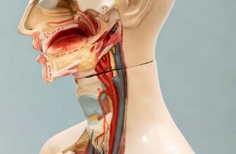 How to Keep Your Voice Healthy as an Actor