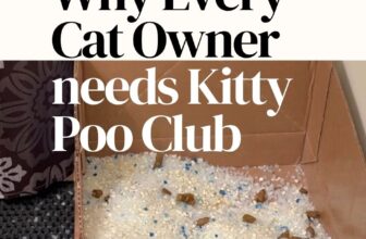 Ways to Spoil your Cat: Get Kitty Poo Club