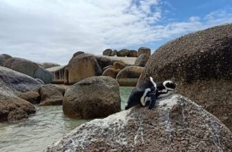 The Ultimate Day Trip From Cape Town – Curls en Route