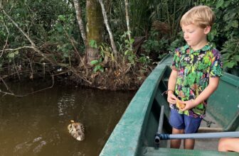 Amazon Rainforest in Peru with Kids: Our Experience