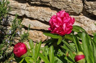 Time for Springing Into Action – Accountants | Tax & Business Advisers