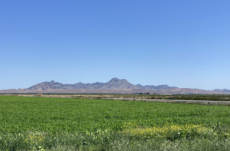 Rising economic and climate pressures drive regenerative practices, innovation, and collaboration | CalCAN