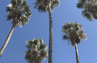 What to Do in Marbella When It’s Too Hot for the Beach