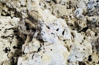 Fiji Pukani Rock Returns | Reef Builders