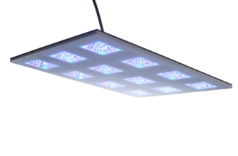 GRAVITY by B-SPX: Inside the “Mother of All LEDs” & Live Q&A Today! | Reef Builders