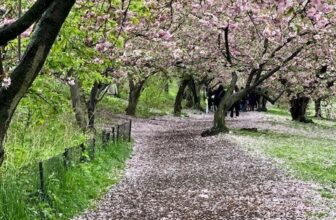 3 Ways Shameless Reiki Misinformation Hurts People & How You Can Help Counter It