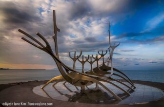 Iceland’s Fermented Shark – A Viking Legacy