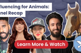 Influencing for Animals | Panel Recap