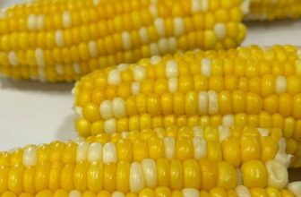 Instant Pot Corn on the Cob 