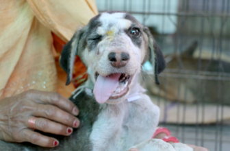 He didn’t choose the streets… But we could choose to save him.