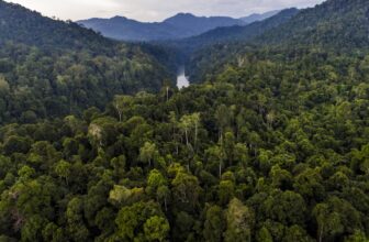How a Decade of Advocacy Became a Documentary – The Understory