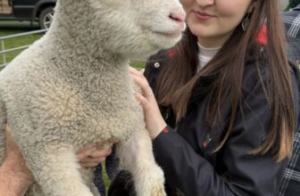 How Smart Event Marketing Grew a Community Easter Event from 45 to 350 Attendees