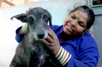 The beauty beneath her mange and starvation was visible in her eyes.