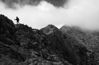 How America Became the Progenitor of Environmentalism