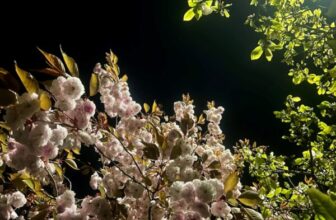 Mother Tales: An (Auto)Ethnographic Exploration of Poetic Resonance, Loss, and Existential Time