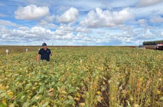 Micropep starts regulatory process of peptide-based biofungicide