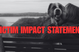 My Victim Impact Statement Christopher Mulley Convicted of Criminal Harassment Ottawa