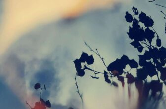 David Cordero/Aiko Takahashi – Night’s End – Ambientblog