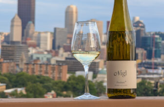Weingut Nigl Freiheit Gruner Veltliner 2025 Review