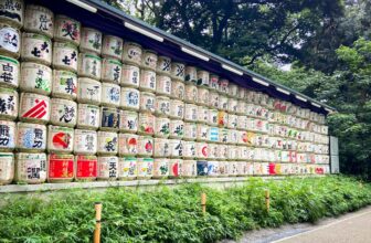 Episode 40: How Do We Do Worldschooling in Japan? – The Wandering Daughter