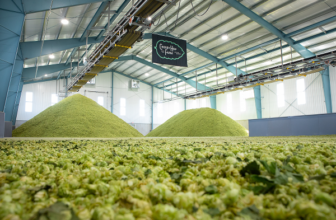 2026 Oregon Hop Harvest Looks Promising For Farmers & Brewers — New School Beer + Cider