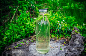 Spruce Tip Cordial (granskuddsaft) – North Wild Kitchen