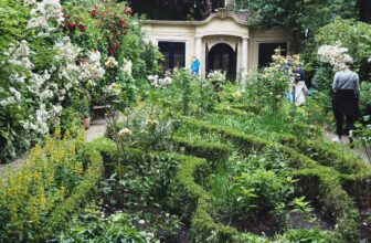 Open Garden Days Amsterdam: Behind the Canal Houses, a Hidden Green World | Amsterdamian