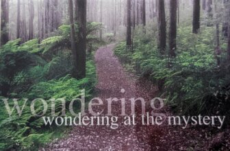 The Wonder of Wonder — Lisa Brockman