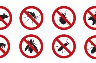 How Does Pest Control Analyze Microclimate Variations Within a Property to Predict Hidden Infestation Hotspots?