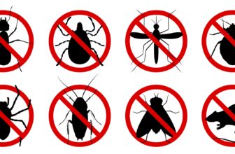 What Structural Vulnerability Assessments Does Pest Control Perform to Identify High-Risk Pest Entry Networks Before Infestations Occur?