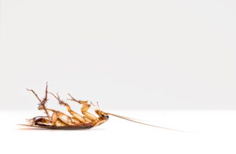 What Role Does Behavioral Response Profiling Play in Pest Control for Achieving Long-Term Population Suppression?