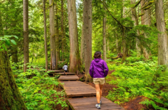 15 National Park Trips With Shuttles And Gentle Walking Paths