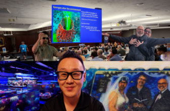 Reefs.com presenting Reef Retreat V2!