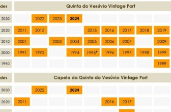 Quinta do Vesúvuio Vintage Port wine chart