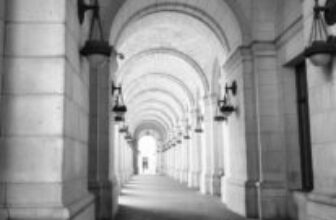 Willful blindness in the reflecting pool cases