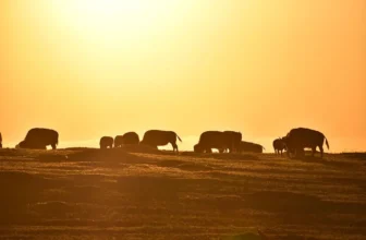 hintonthetrail.com – The Best Guide for Planning a National Park Visit